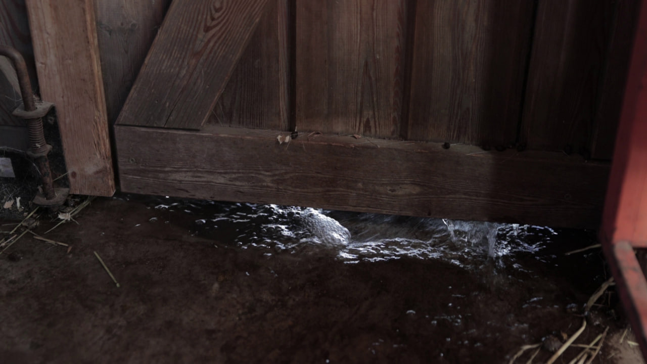 Беспечность в половодье может стоить жизни