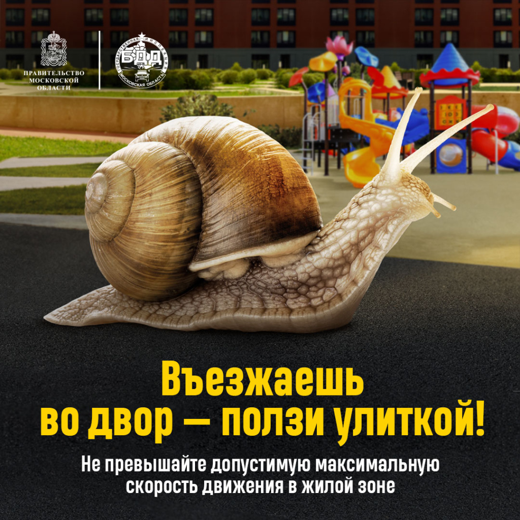 Социальные_сети_ПДД_Двор_Улитка_1080x1080.jpg